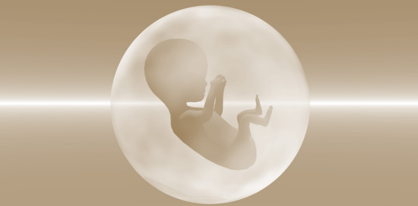 第三代试管婴儿